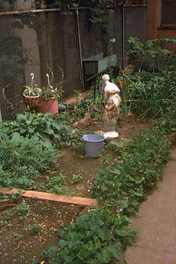 plants and a statue